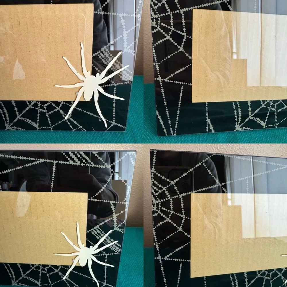 Halloween spiderweb black and ivory picture frame